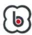 BabyGO Safechild2 - babyGO - 3