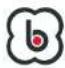 BabyGO Safechild2 - SAFECHILD 2 - 1
