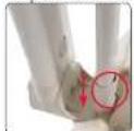 BabyGO Amila - babyGO - 5