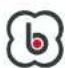 BabyGO Duo - INSTALLATION TRAGETASCHE - 9