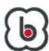 BabyGO Simplex - HOW TO USE IT ON THE STROLLER - 2