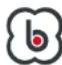 BabyGO Swing - GELIEVE DEZE INSTRUCTIES GOED TE LEZEN EN TE BEWAREN VOOR TOEKOMSTIGE REFERENTIE. - 4