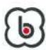 BabyGO Swing - No warranty is given if: - 1