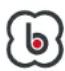 BabyGO Levels Newborn - INSTALLATION DER FUSS- STÜTZE UND DES TABLETTS - 1