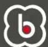 BabyGO Levels Newborn - HANDLEIDING - 1