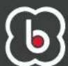 BabyGO SideBySide - MODE D'EMPLOI - 1