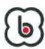 BabyGO SideBySide - ASSEMBLY STEP - 11