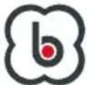 BabyGO Skandi - PARTS - 6
