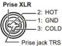 KORG microAUDIO 22 - 1Prises IN 1, IN 2 - 1