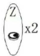 Vevor DX0202 - STEP 2: - 9