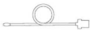 Diforo Arum - IT - 2