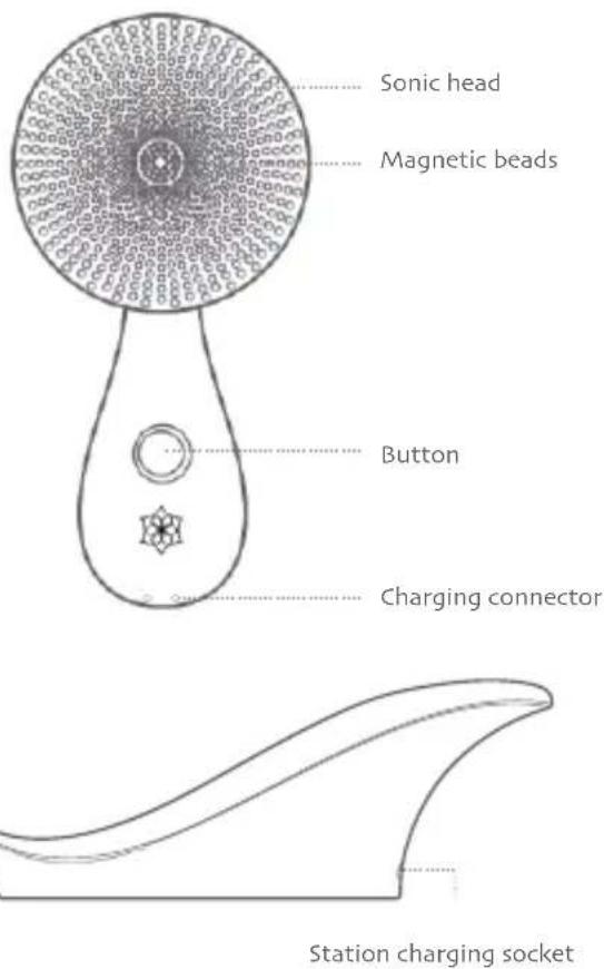 Diforo Arum - Diforo - 1