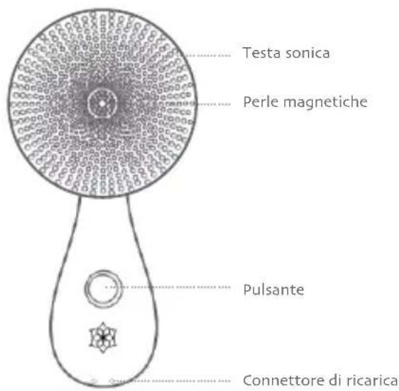 Diforo Arum - Diforo - 1