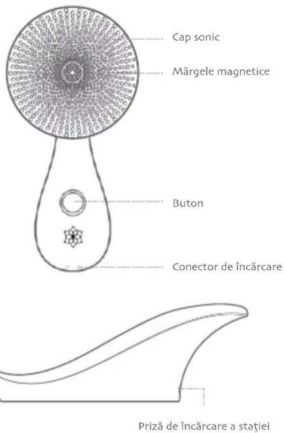 Diforo Arum - Diforo - 1