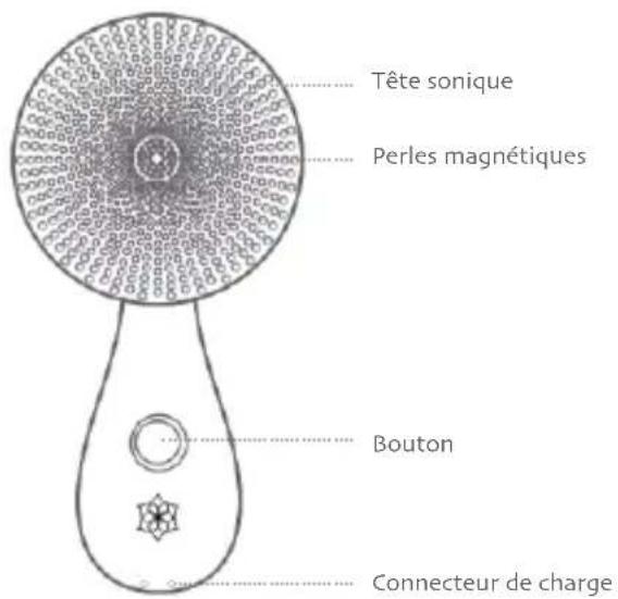 Diforo Arum - Diforo - 1