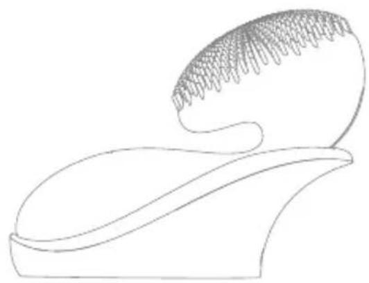 Diforo Arum - DE - 1