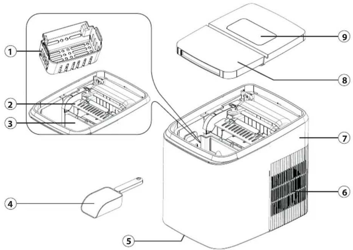 CASO Clear Ice Advanced 3403 - Structure et fonctionnement - 1