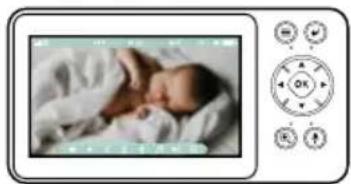 Concept KD5010 - Descrizione del display del monitor - 1