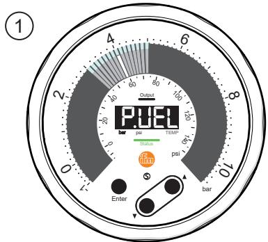 IFM PG1408 - Indicador LED dinámico - 2