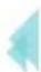 CECOTEC Rock&Water 3000 Twin - ITALIANO - 1