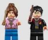 LEGO Harry Potter 76463 - Harry Potter - 2