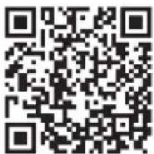 MEDION LIFE P901 (MD 37732) - Serviceinformationen - 1
