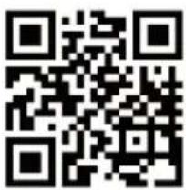 MEDION LIFE P66896 (MD 43896) - Serviceinformationen - 1