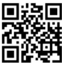 MEDION LIFE E66877 (MD 43877) - Serviceinformationen - 1