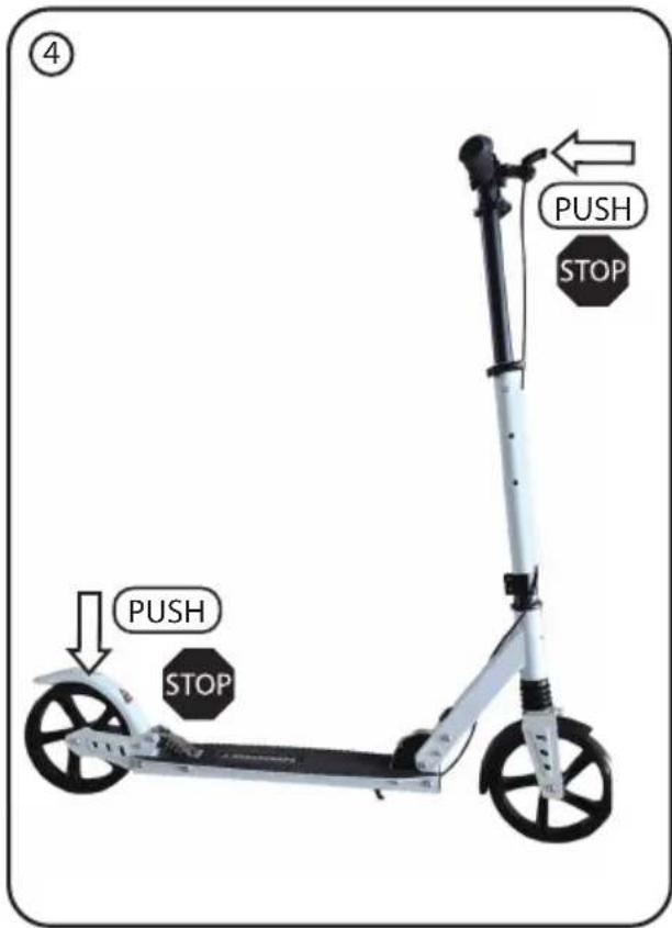 Chipolino Rider - 2