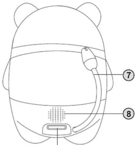 Chipolino Titan - 8