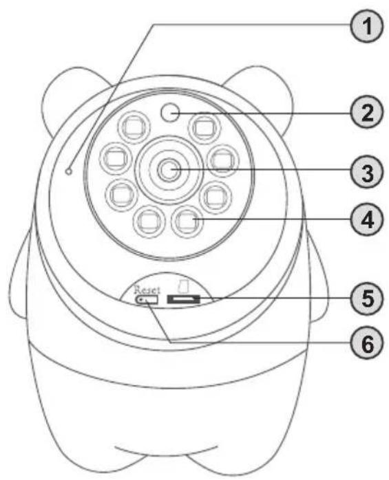 Chipolino Titan - 7