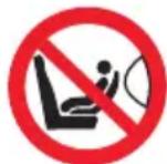 Chipolino Pearl - !VERWENDEN SIE DEN KINDERSITZ NIEMALS Auf EINEM BEIFAHRERSITZ MIT AKTIVEM FRONT-AIRBAG! DAS KANN ZU TOD ODER SCHWEREN VERLETZUNGEN FÜRHREN! - 1