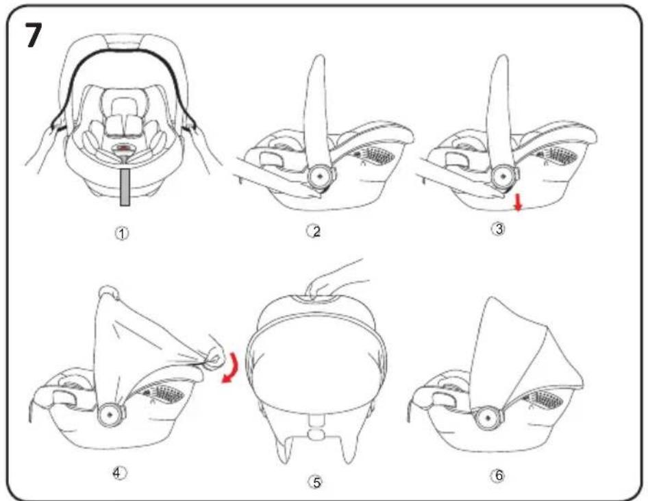 Chipolino Pearl - 14