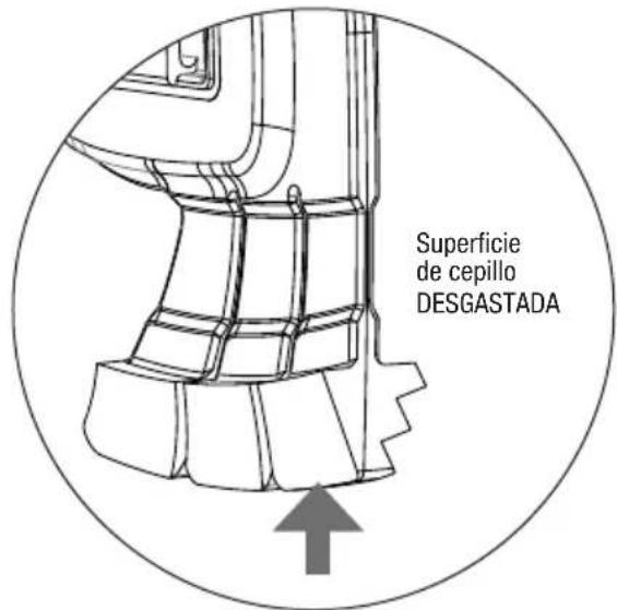 POLARIS LYNX - Reemplace los cepillos regularmente - 3