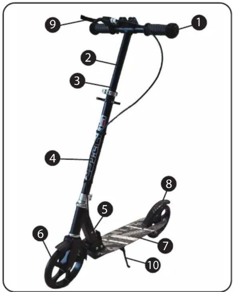 Chipolino Swift - SWIFT - 2