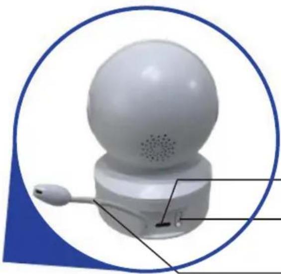 Chipolino Duo View - 7