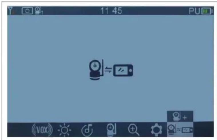 Chipolino Duo View - 25
