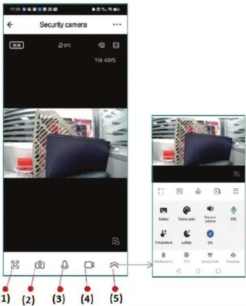 Chipolino Duo View - 22