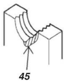45