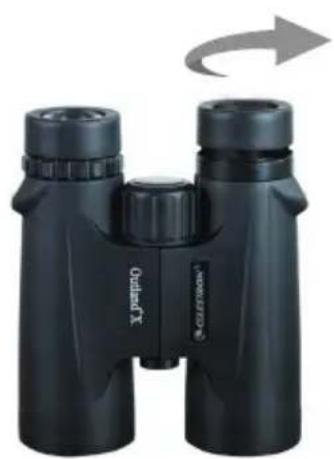 CELESTRON Outland X 10x50 - EINSTELLEN DER AUGENMUSCHEL - 1