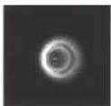 CELESTRON Advanced VX 6" RASA - Collimazione - 4