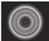 CELESTRON Advanced VX 6" RASA - Collimation - 1