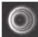 CELESTRON Advanced VX 6" RASA - Collimation - 7