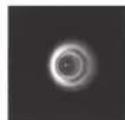 CELESTRON Advanced VX 6" RASA - Collimation - 4