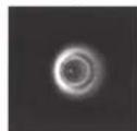 CELESTRON Advanced VX 6" RASA - Collimation - 6