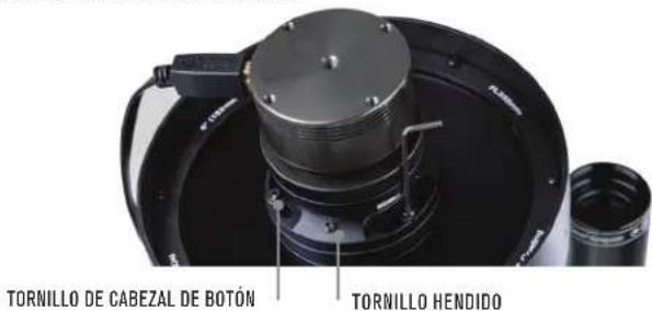 CELESTRON Advanced VX 6" RASA - Colimado - 2