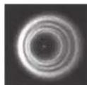 CELESTRON Advanced VX 6" RASA - Collimation - 3