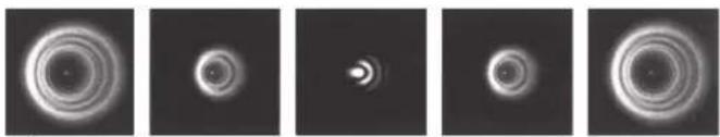 CELESTRON Advanced VX 6" RASA - Colimado - 3