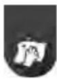 GORENJE NeoMaster SVC296449NM - KÄITAMINE - 1