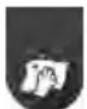 GORENJE NeoFlow SVC259441NFGO - FUNZIONAMENTO - 1